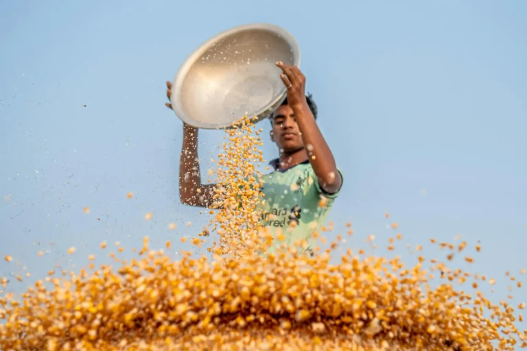 ONU expõe drama da fome: 673 milhões dormem sem comer em 2025