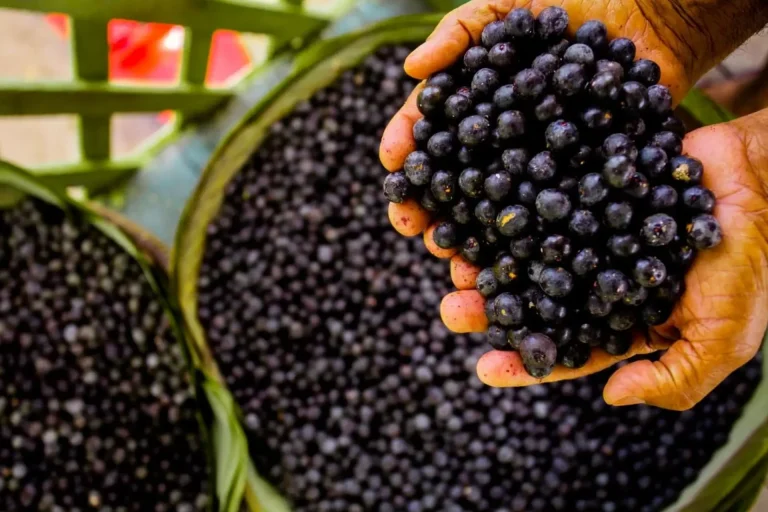 açaí