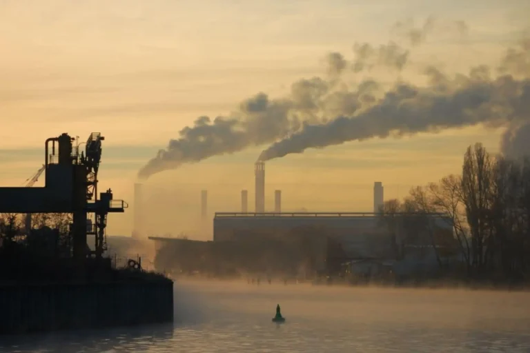 CO2 alcança recorde histórico e alerta sobre falha dos sumidouros naturais de carbono