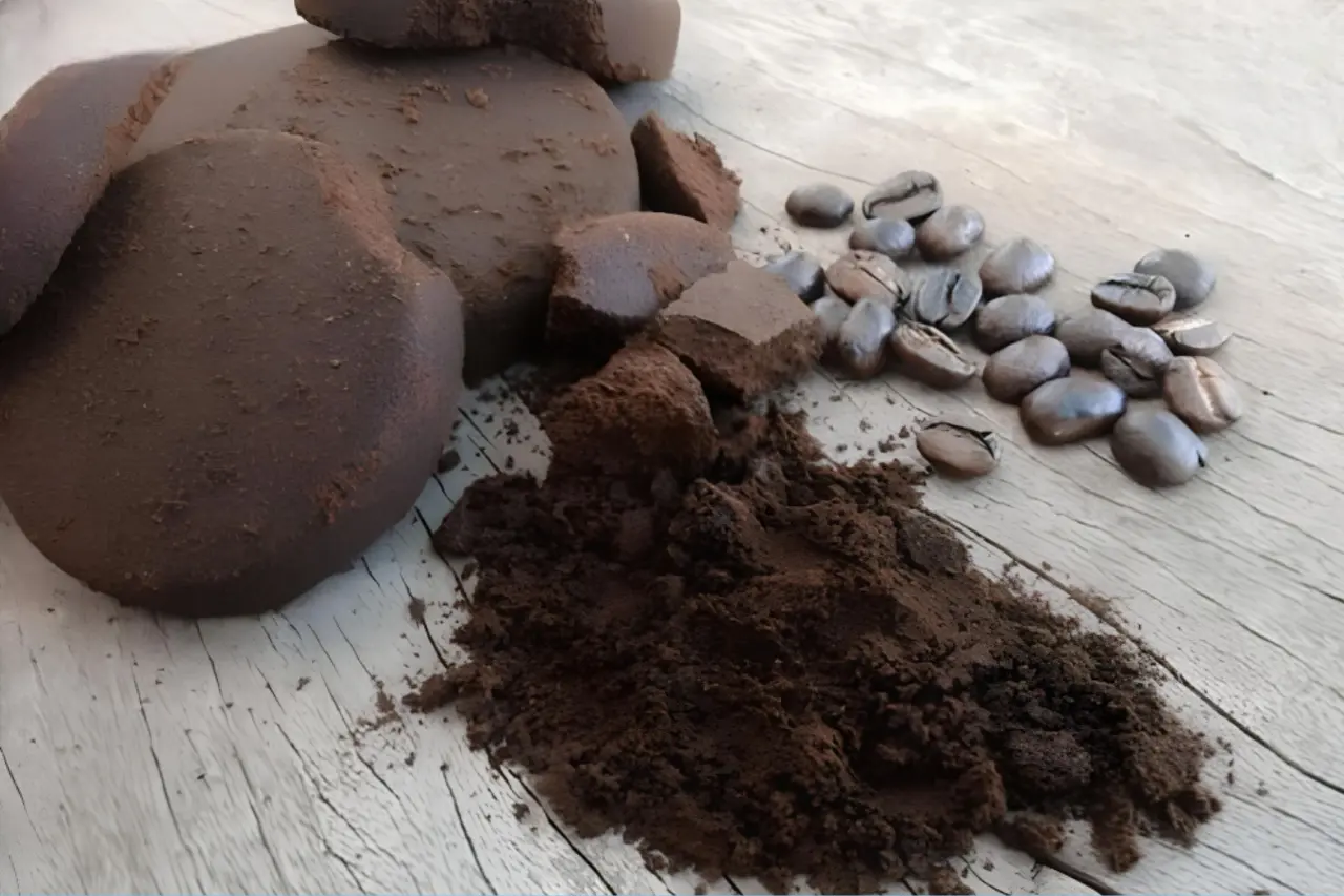Borra de café