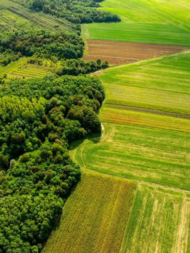 Produtores rurais apostam em regeneração do solo para driblar custos