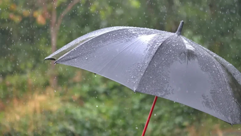 chuva