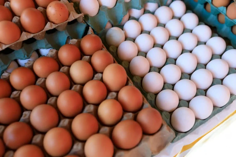 Produção de ovos em Goiás alcança novo patamar e movimenta R$ 1,6 bi