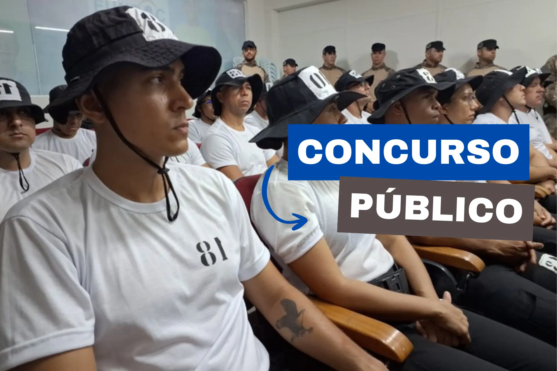 técnico socioeducativo